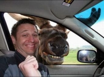 Funny Selfies That Went To Another Level