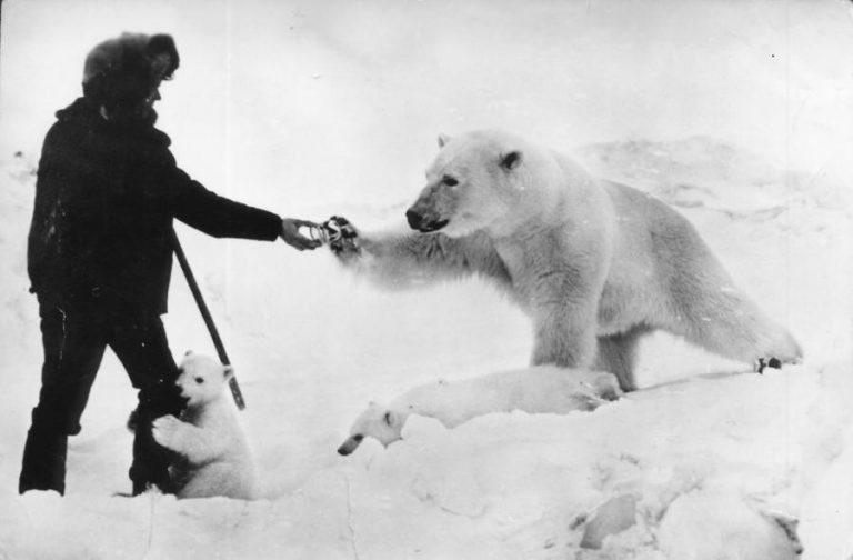 Ο άνδρας ταΐζει την πολική αρκούδα ενώ το μικρό της τον αγκαλιάζει με τρυφερότητα. Η συγκινητική ιστορία..