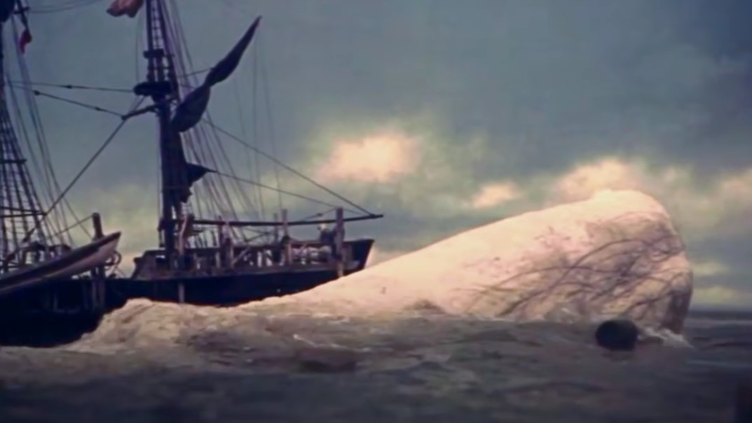 Η Φάλαινα Αρνείται Να Πεθάνει, Βυθίζει Το Φαλαινοθηρικό-Το Βιβλίο Που Έγινε Ταινία!